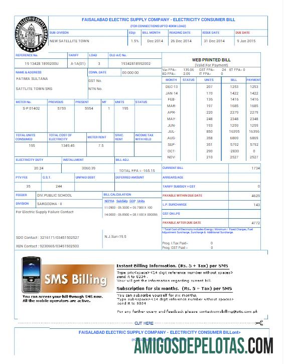 Em branco PAQUISTÃO FAISALABAD Conta de serviços públicos Word e modelo PDF